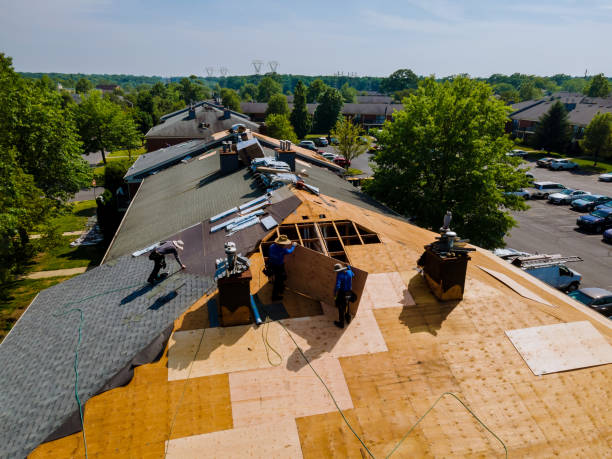 Best Flat Roof Repair Services  in East Bronson, FL