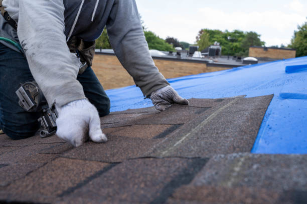 Best Metal Roofing Contractor  in East Bronson, FL
