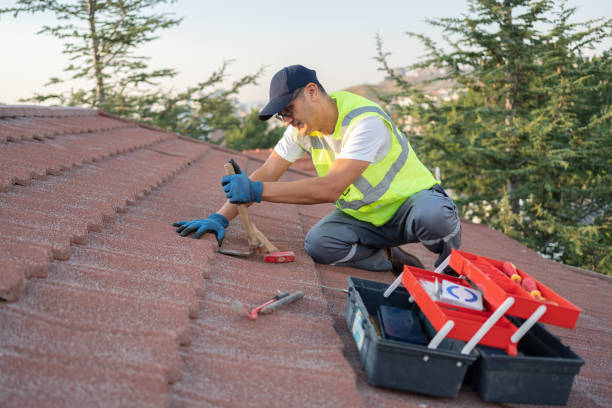 Best Roof Repair Services  in East Bronson, FL