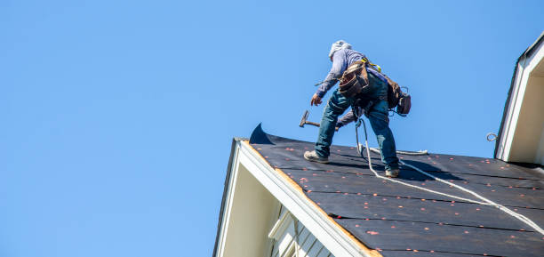 Best Roof Maintenance Services  in East Bronson, FL