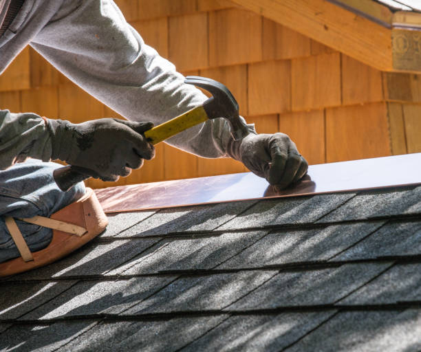 Professional Roofing Contractor in East Bronson, FL
